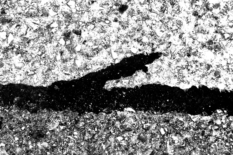 der alte Mann