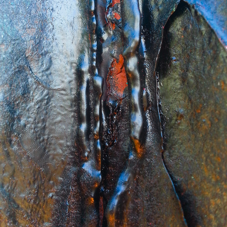 der Fisch