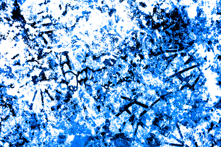 Winterkalligrafie V