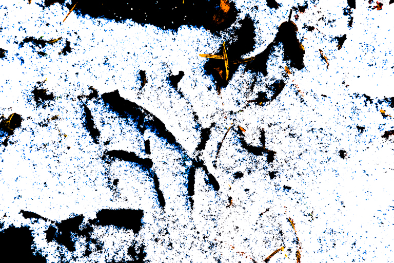 Winterkalligrafie XII