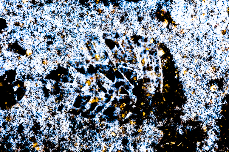 Winterkalligrafie XIII