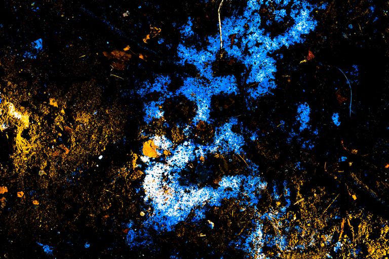 Winterdämon V
