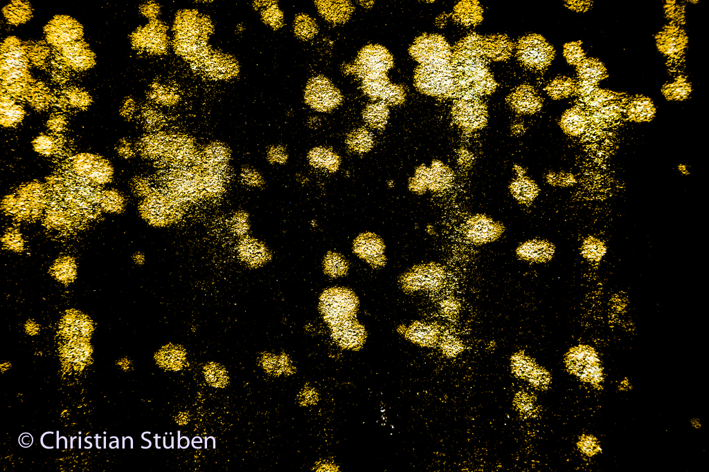 Virus 1 ∙ Die Welle rollt an