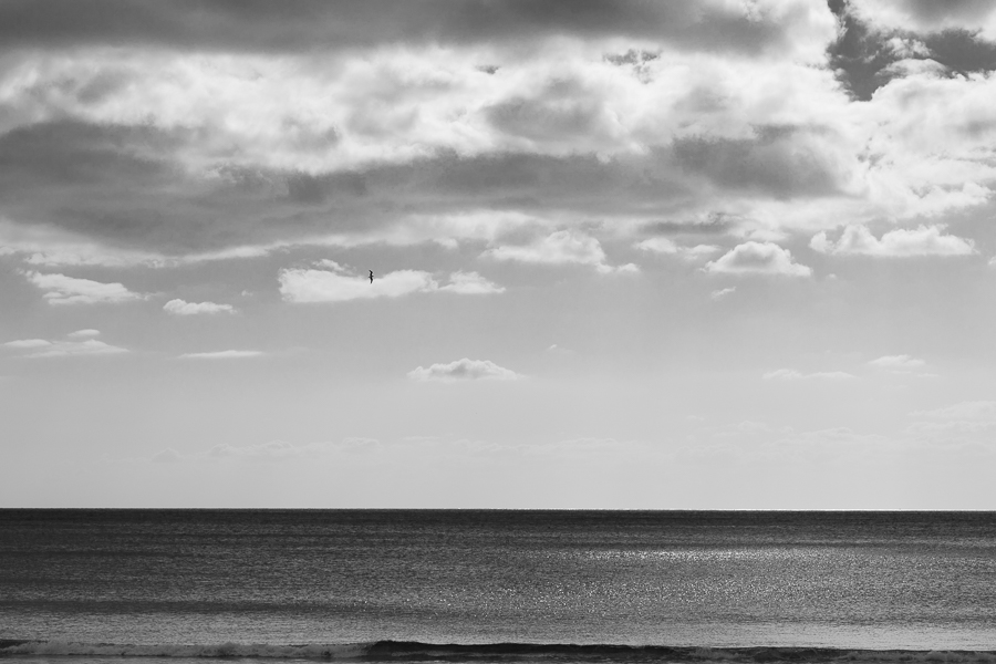 Seascape