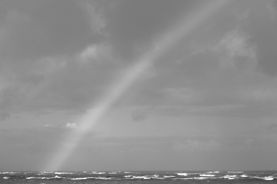 Seascape