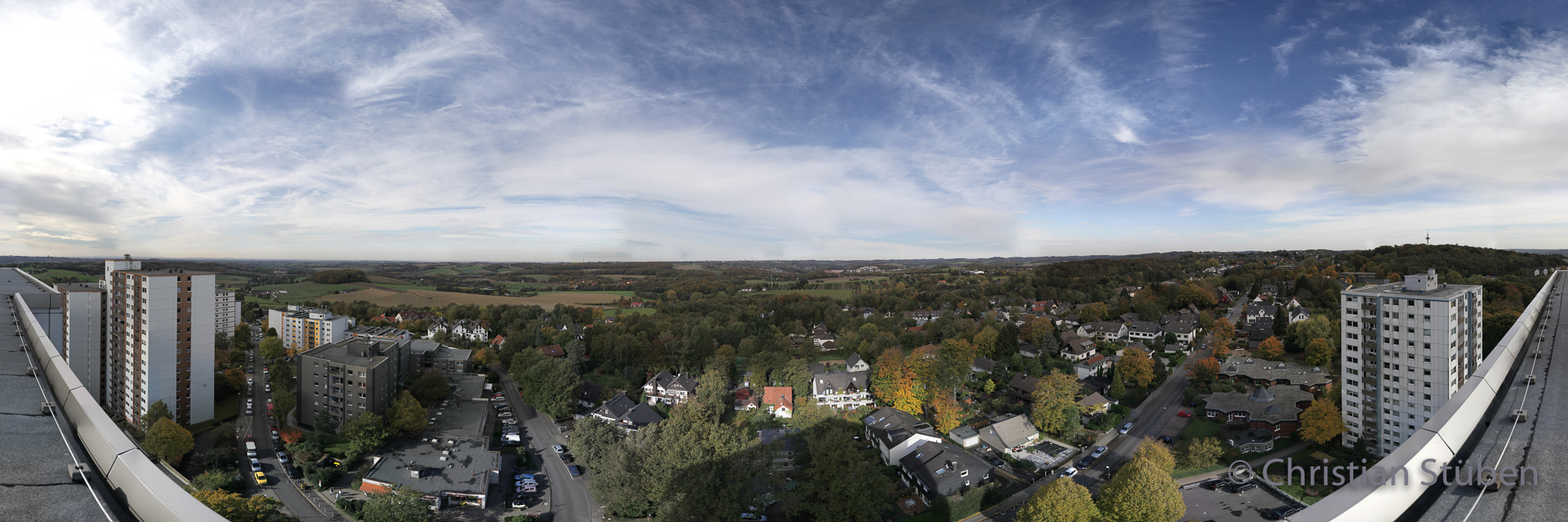 Eckbusch