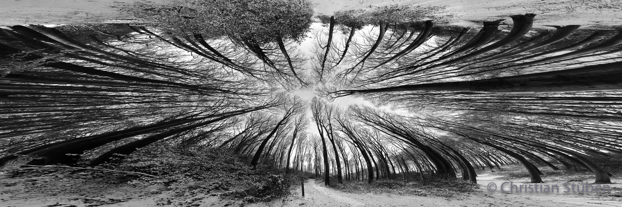 Wald