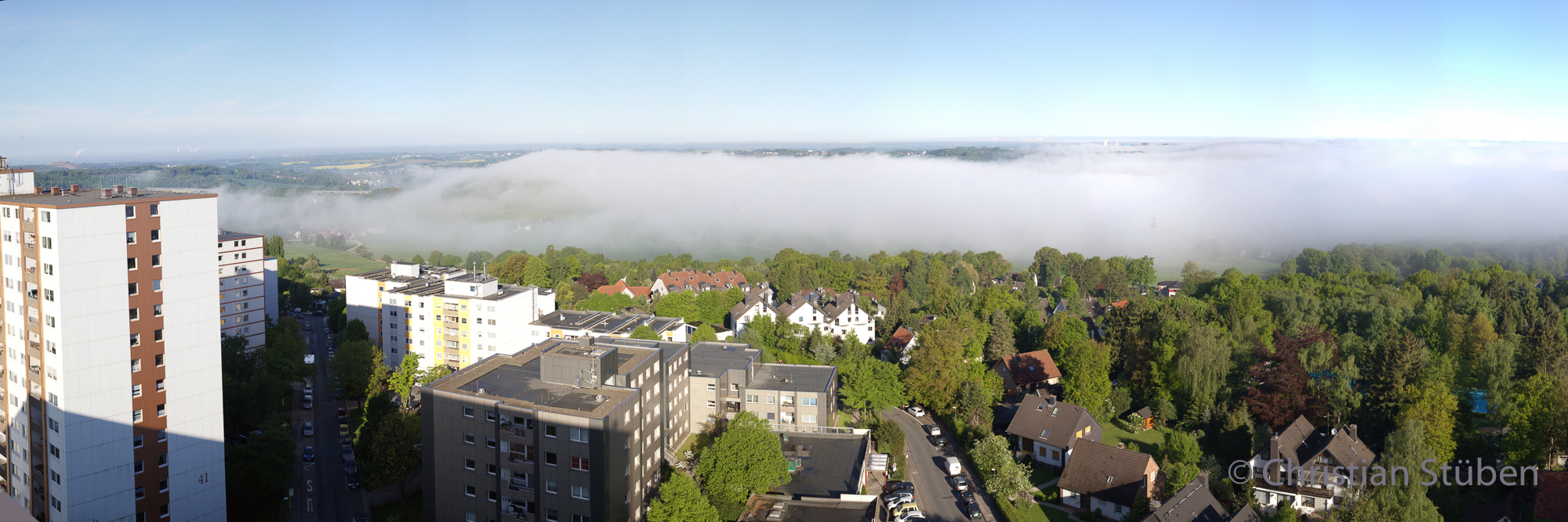 Eckbusch