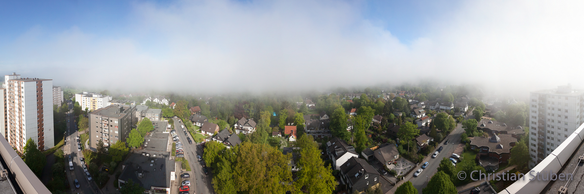 Eckbusch