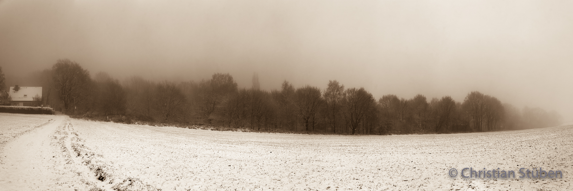 Feld