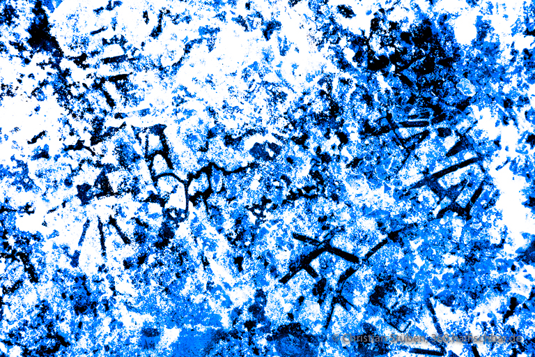 Winterkalligrafie V