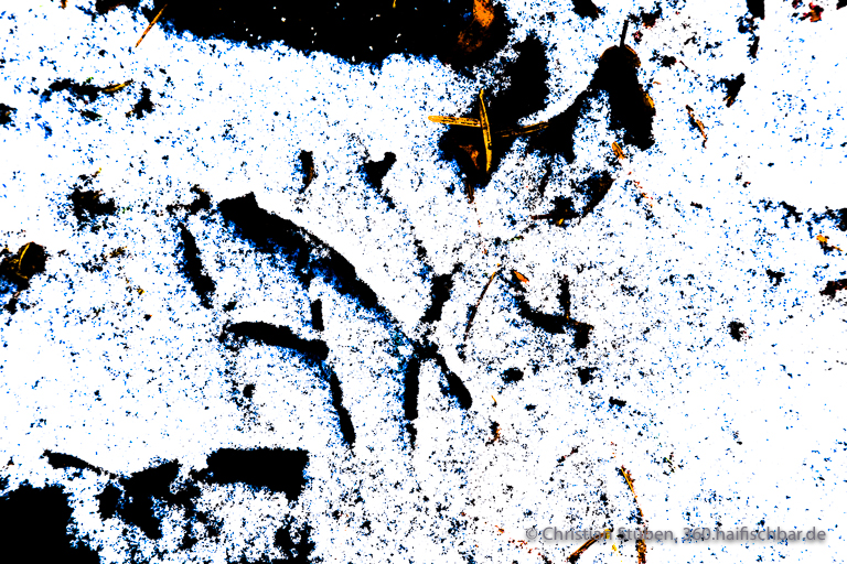 Winterkalligrafie XII