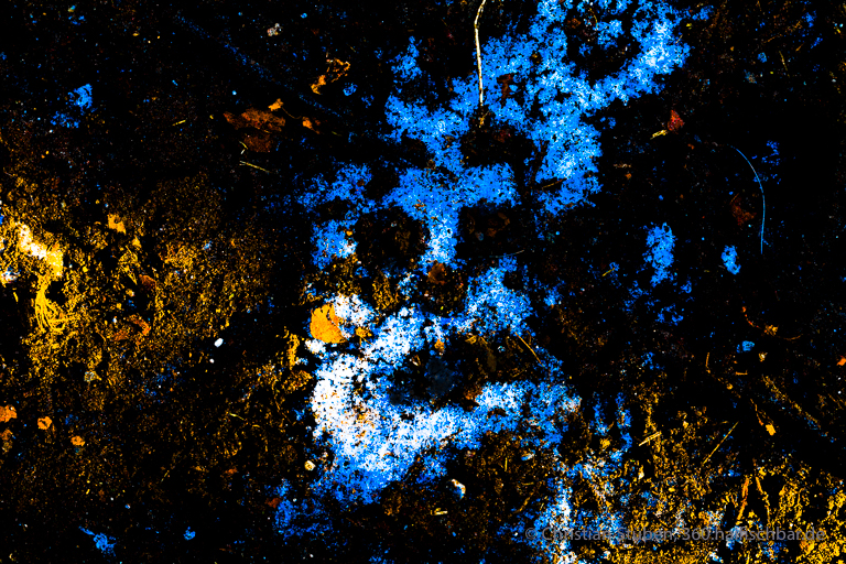 Winterdämon V