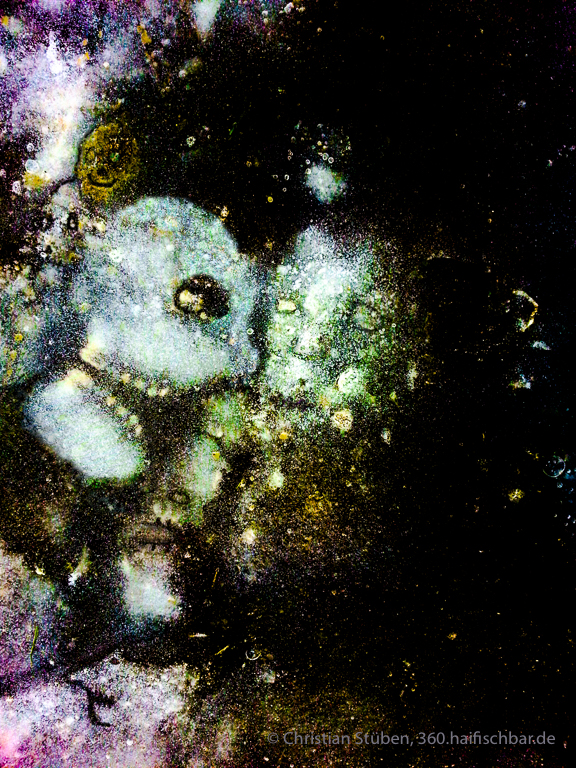 Krisensitzung im Unterversum. • Emergency meeting in the underverse.